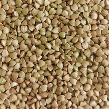 Buckwheat rice